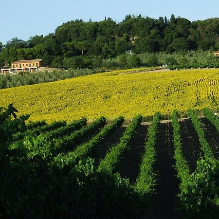 Bio Agriturismo Il Torrione Βίλα Saturnia Εξωτερικό φωτογραφία