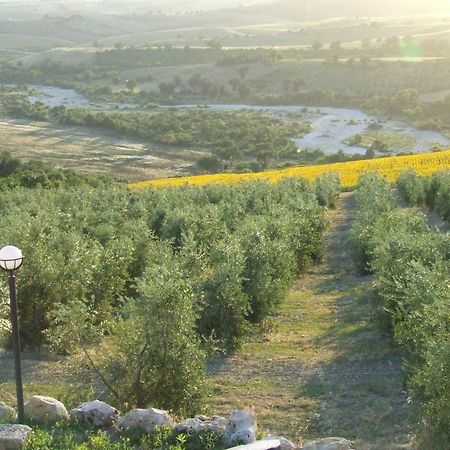 Bio Agriturismo Il Torrione Βίλα Saturnia Εξωτερικό φωτογραφία