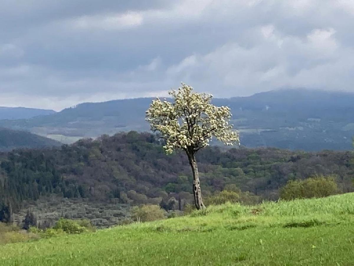 Bio Agriturismo Il Torrione Βίλα Saturnia Εξωτερικό φωτογραφία