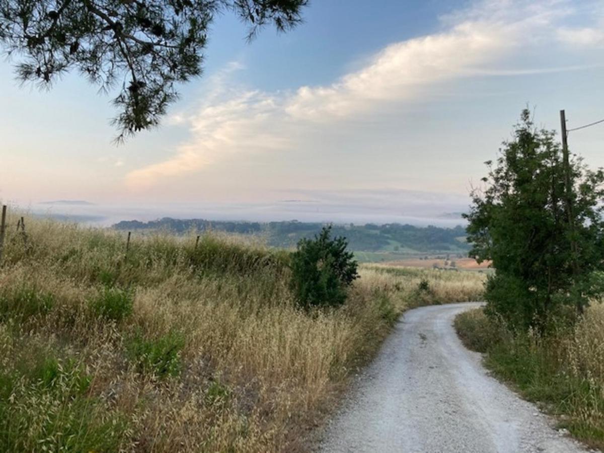 Bio Agriturismo Il Torrione Βίλα Saturnia Εξωτερικό φωτογραφία