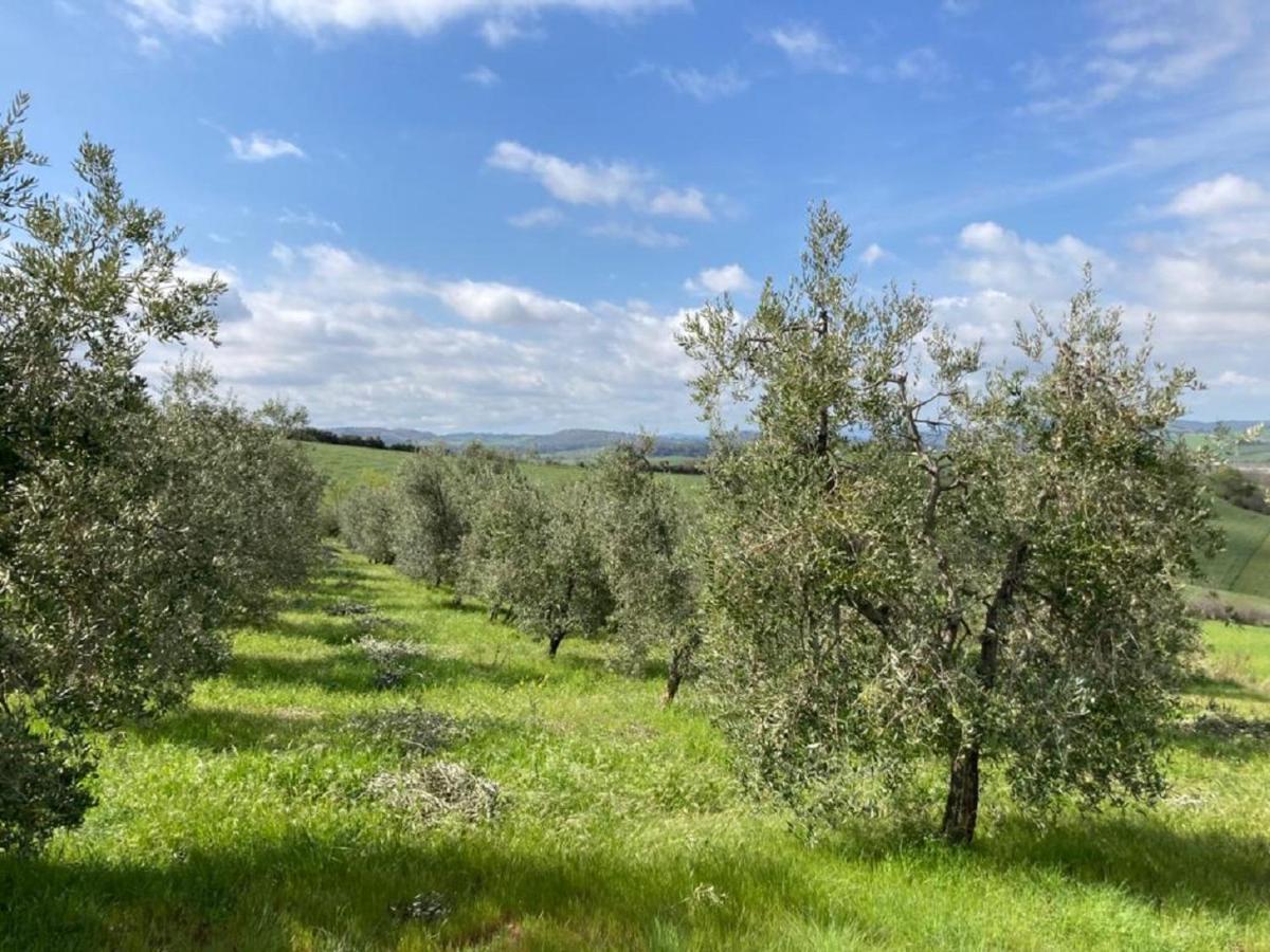 Bio Agriturismo Il Torrione Βίλα Saturnia Εξωτερικό φωτογραφία