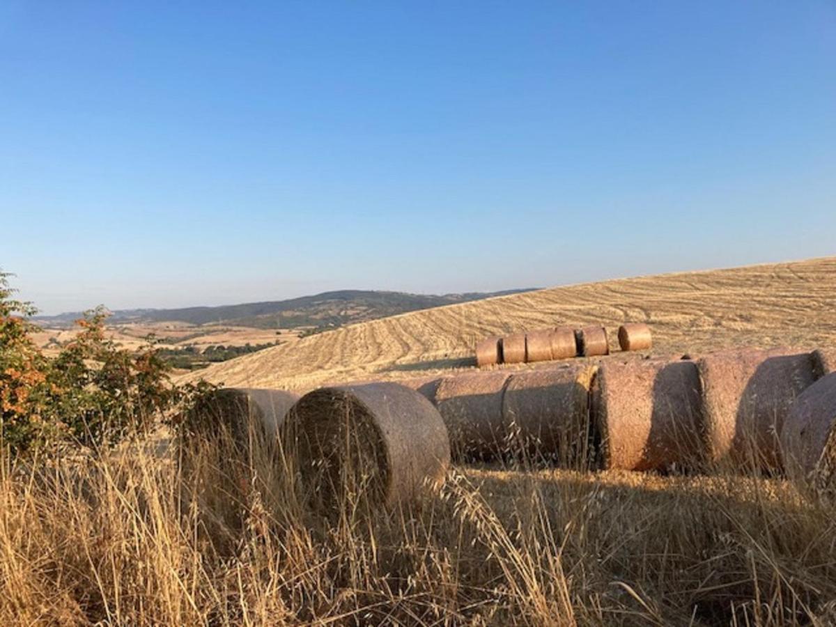 Bio Agriturismo Il Torrione Βίλα Saturnia Εξωτερικό φωτογραφία