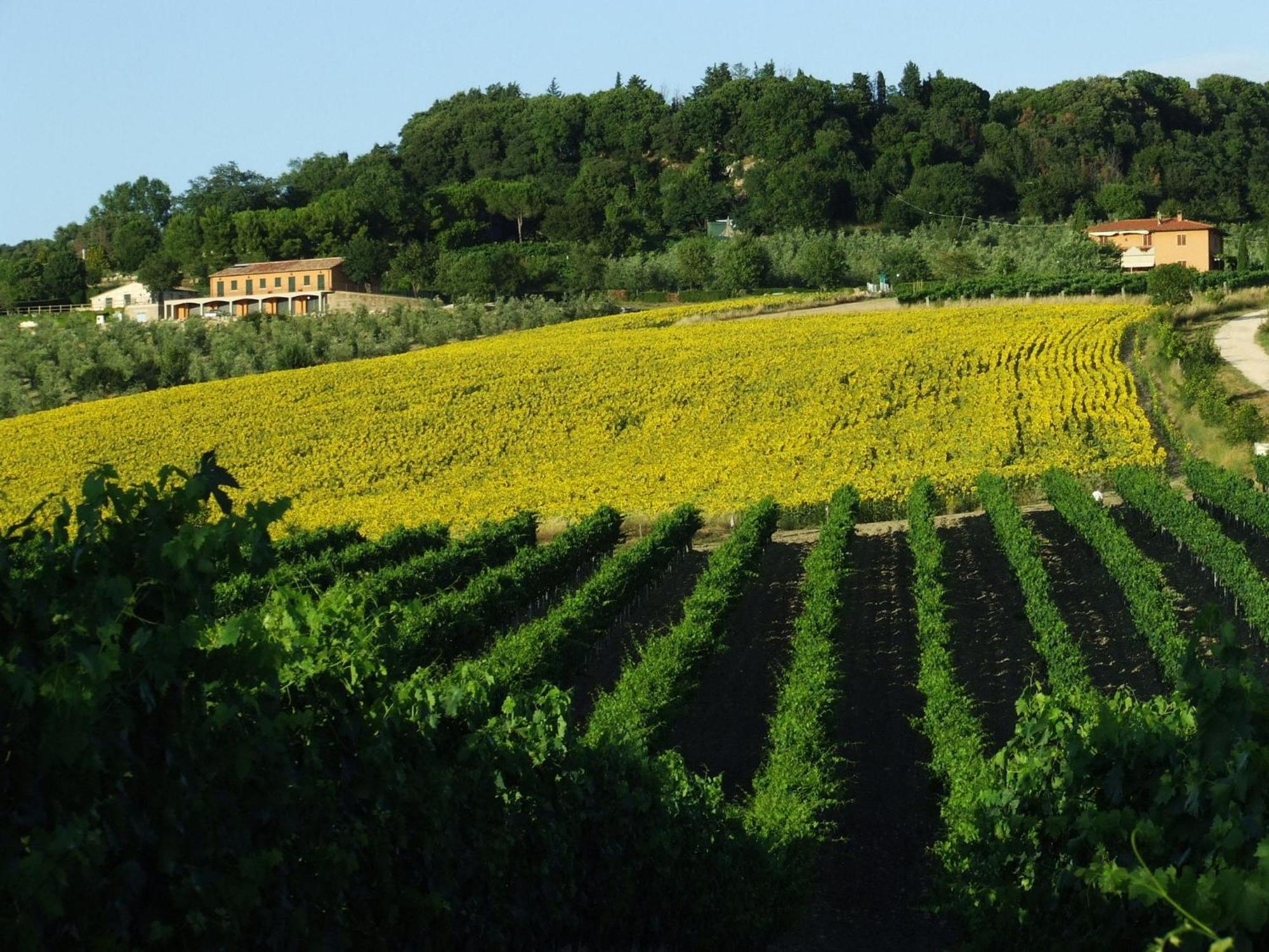 Bio Agriturismo Il Torrione Βίλα Saturnia Εξωτερικό φωτογραφία