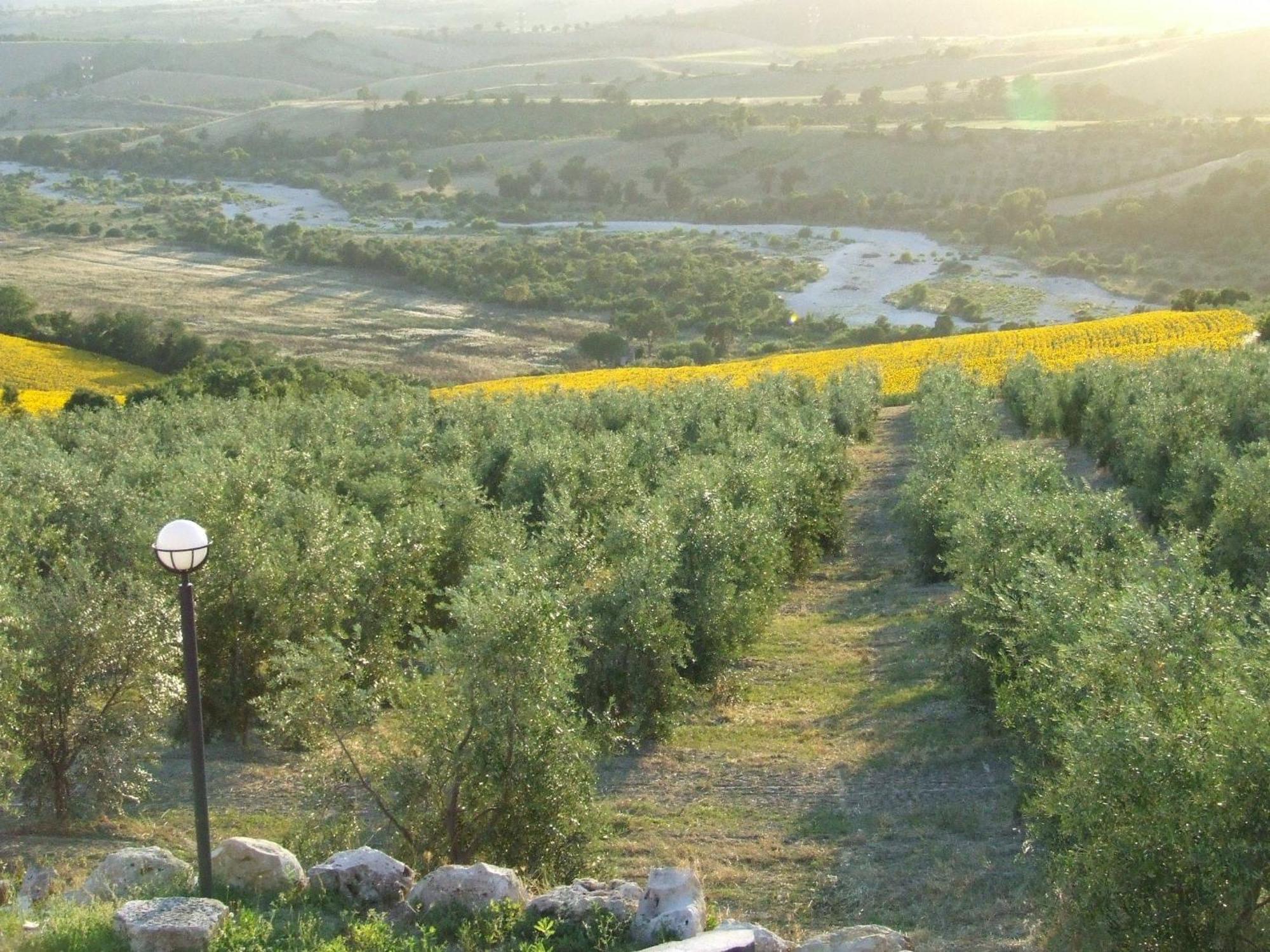 Bio Agriturismo Il Torrione Βίλα Saturnia Εξωτερικό φωτογραφία