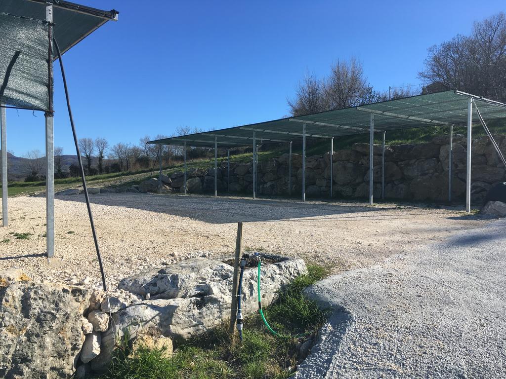 Bio Agriturismo Il Torrione Βίλα Saturnia Εξωτερικό φωτογραφία